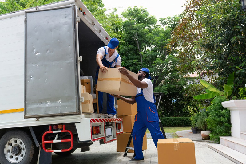 services